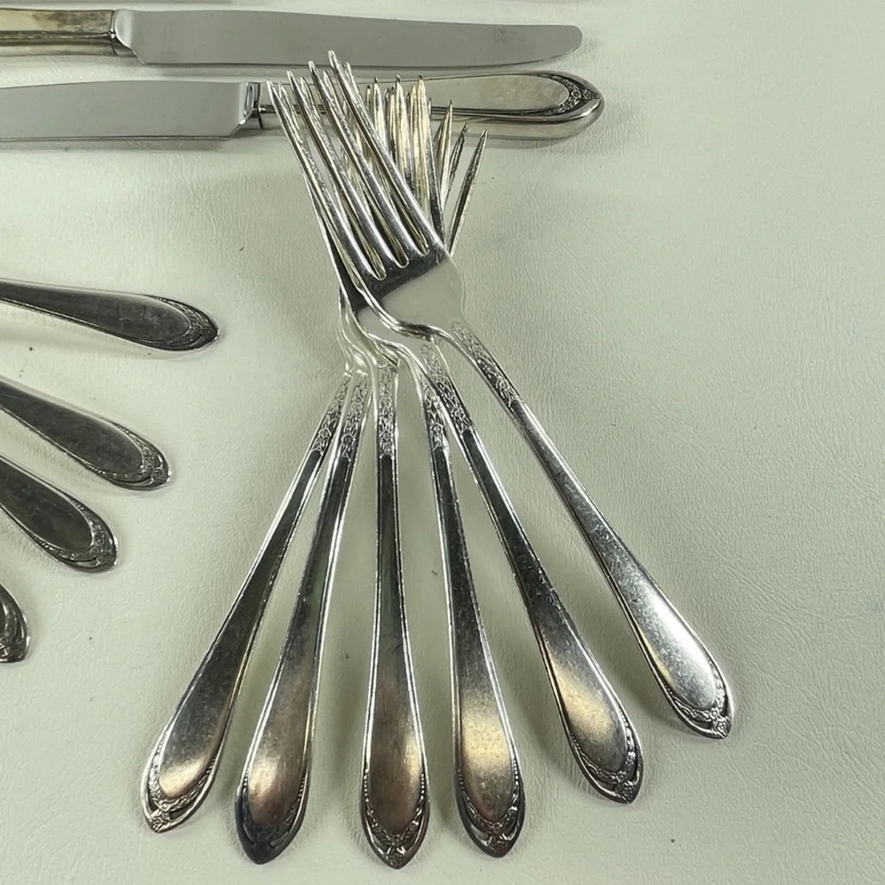 Vintage 1847 Rogers Bros IS Silverplate Flatware “Lovelace” Pattern | Mixed Lot